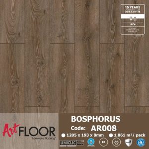 Sàn Gỗ Art Floor AR008